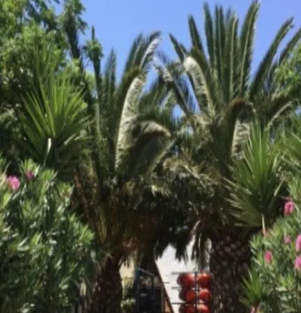 El Embarcadero *